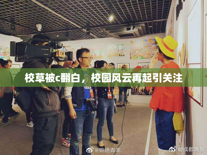 校草被c翻白，校园风云再起引关注