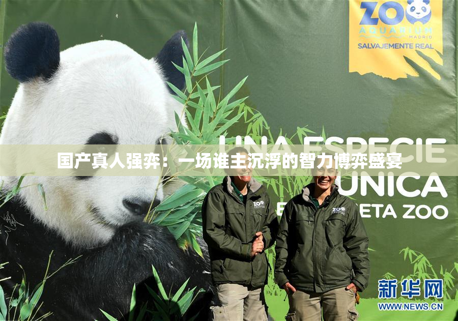 国产真人强弈：一场谁主沉浮的智力博弈盛宴