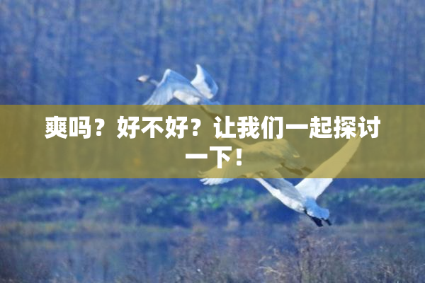 爽吗？好不好？让我们一起探讨一下！