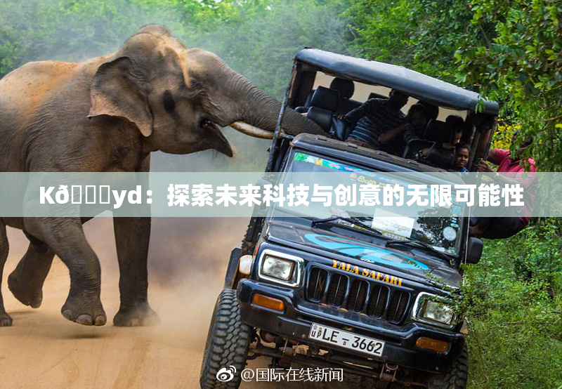 K🈚yd：探索未来科技与创意的无限可能性