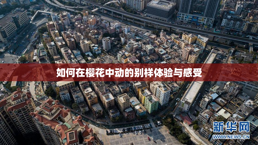 如何在樱花中动的别样体验与感受