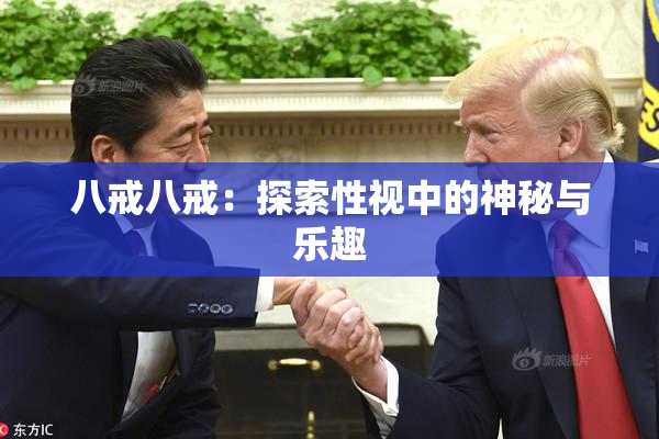 八戒八戒：探索性视中的神秘与乐趣