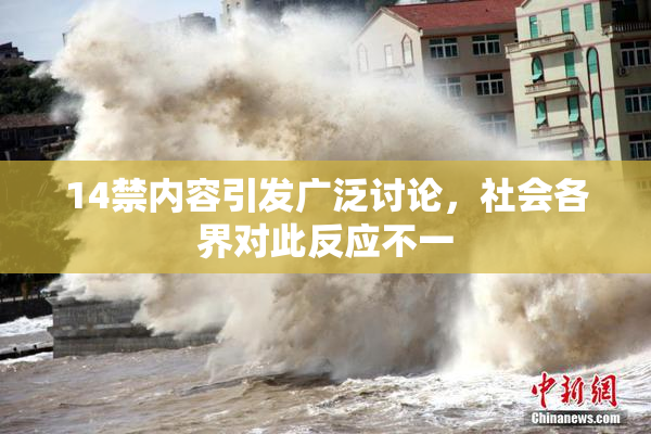14禁内容引发广泛讨论，社会各界对此反应不一