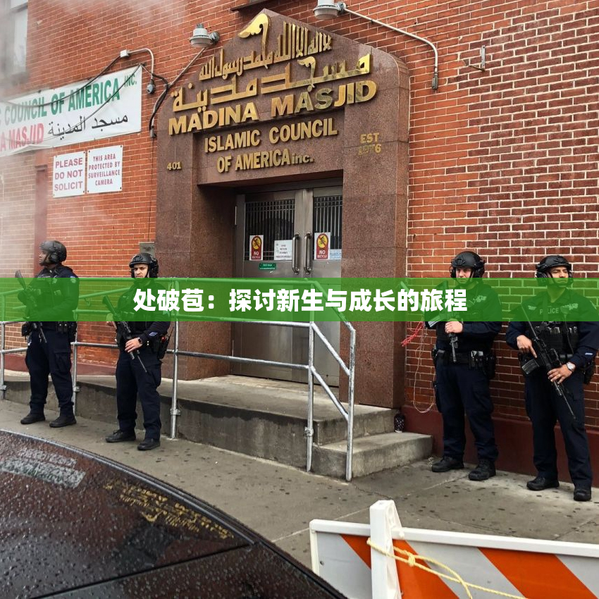 处破苞：探讨新生与成长的旅程