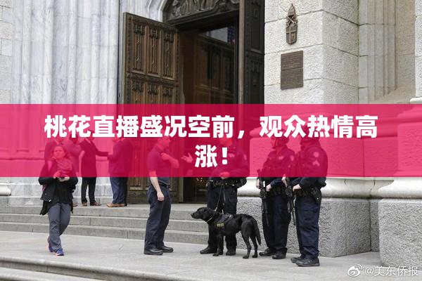 桃花直播盛况空前，观众热情高涨！