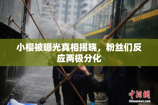 小樱被曝光真相揭晓，粉丝们反应两极分化
