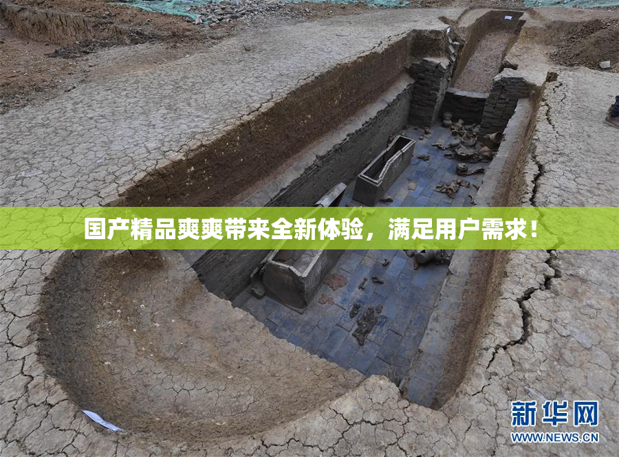 国产精品爽爽带来全新体验，满足用户需求！