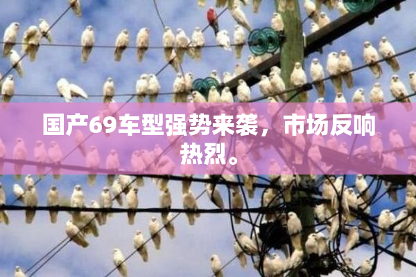 国产69车型强势来袭，市场反响热烈。