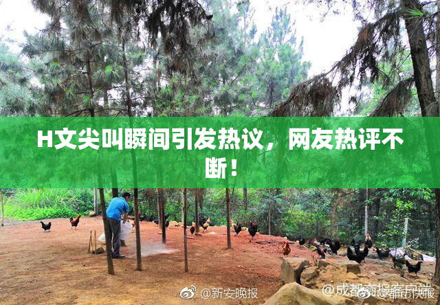 H文尖叫瞬间引发热议，网友热评不断！