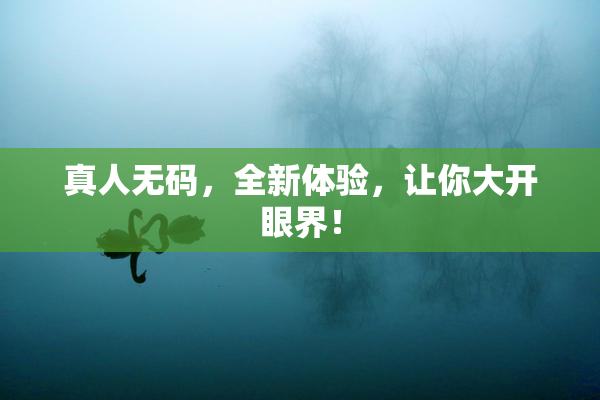 真人无码，全新体验，让你大开眼界！