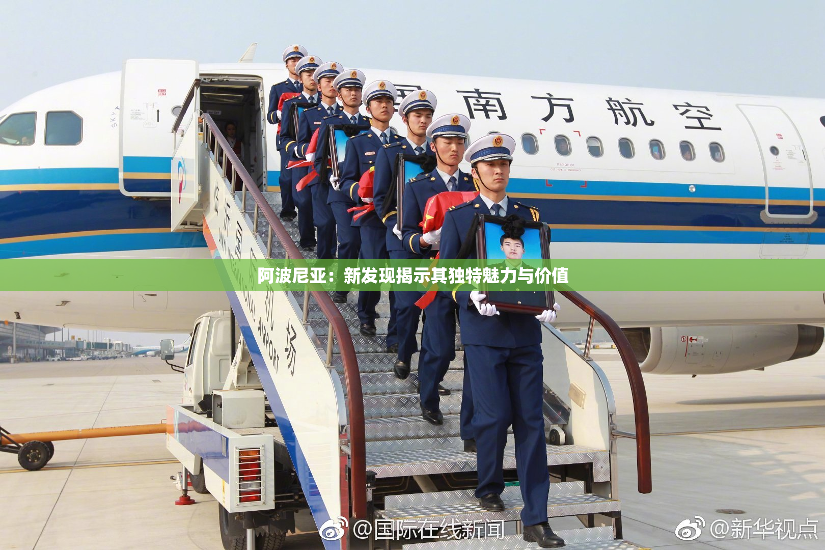 阿波尼亚：新发现揭示其独特魅力与价值