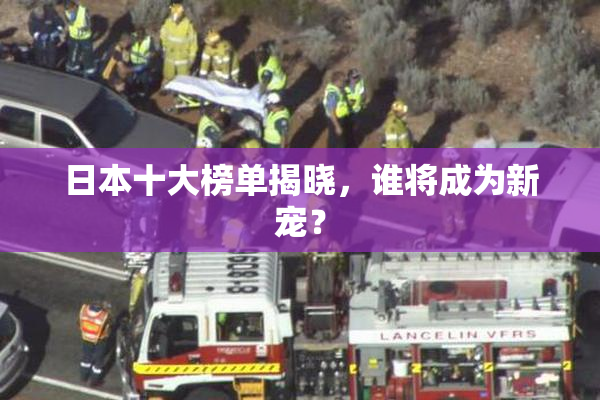 日本十大榜单揭晓，谁将成为新宠？