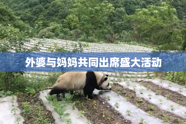 外婆与妈妈共同出席盛大活动