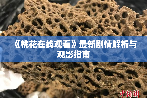 《桃花在线观看》最新剧情解析与观影指南