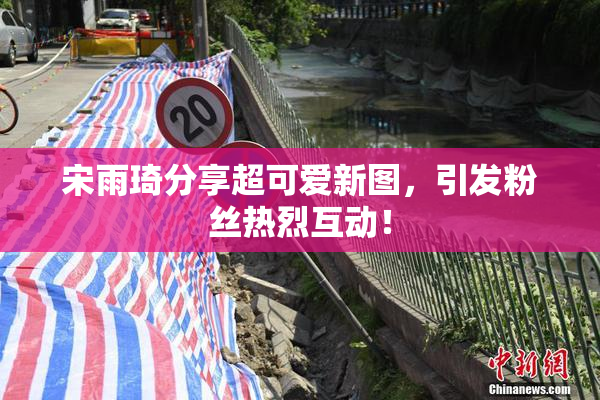 宋雨琦分享超可爱新图，引发粉丝热烈互动！