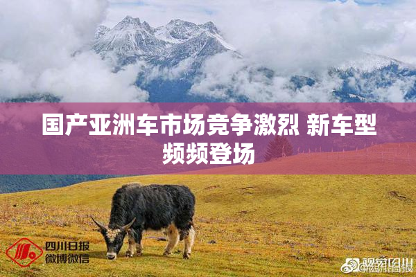 国产亚洲车市场竞争激烈 新车型频频登场