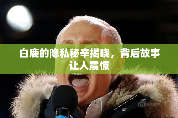 白鹿的隐私秘辛揭晓，背后故事让人震惊