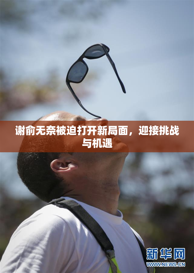 谢俞无奈被迫打开新局面，迎接挑战与机遇