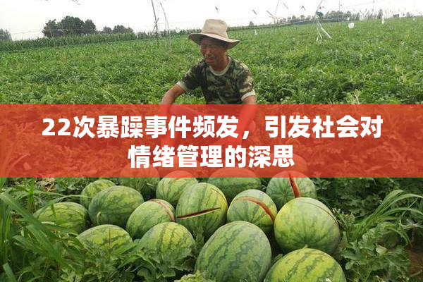 22次暴躁事件频发，引发社会对情绪管理的深思