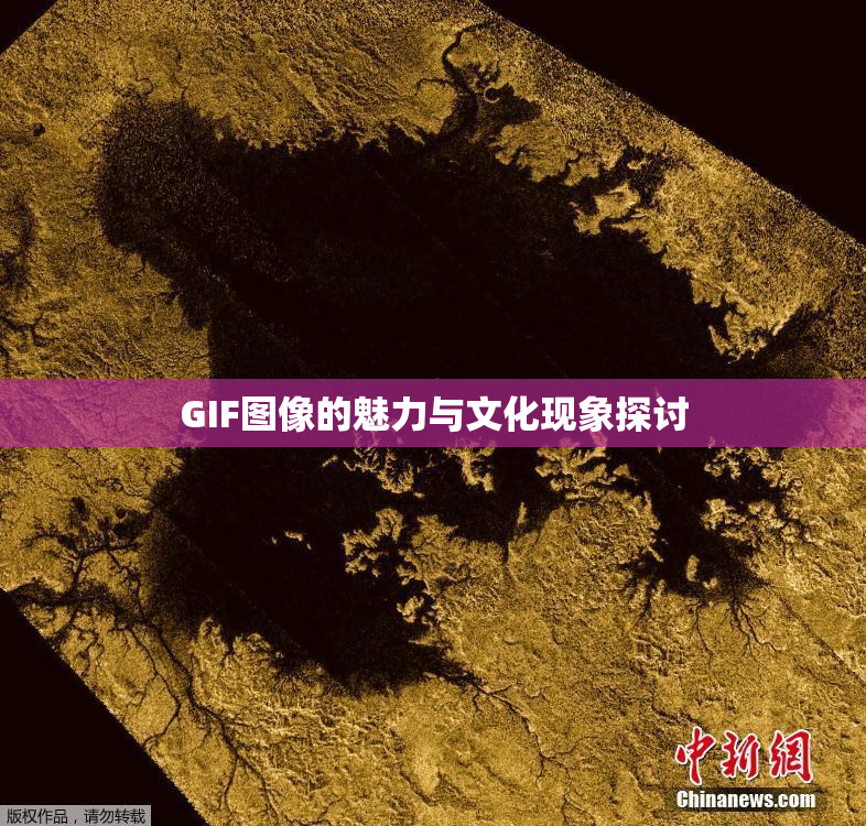 GIF图像的魅力与文化现象探讨