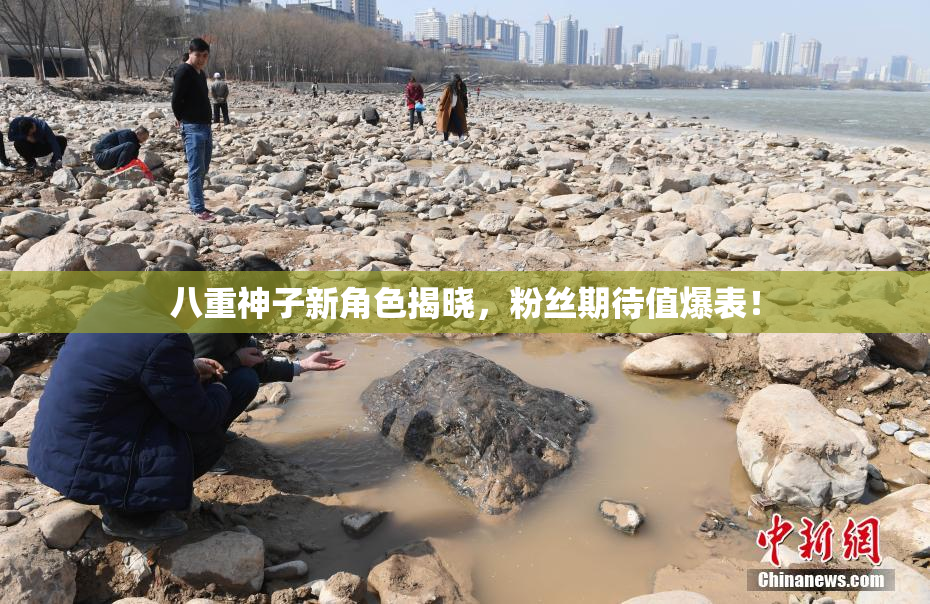 八重神子新角色揭晓，粉丝期待值爆表！