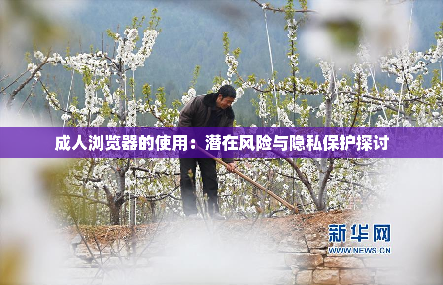 成人浏览器的使用：潜在风险与隐私保护探讨