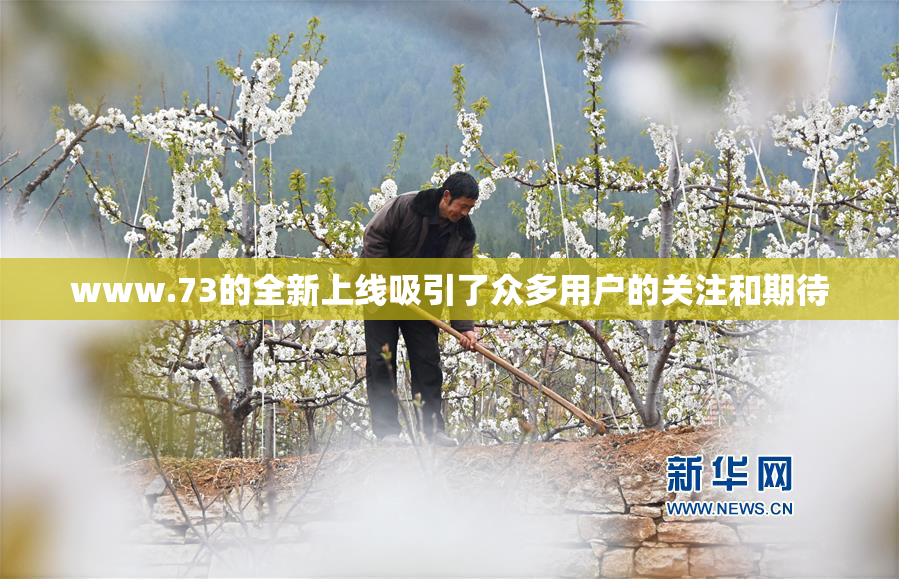 www.73的全新上线吸引了众多用户的关注和期待