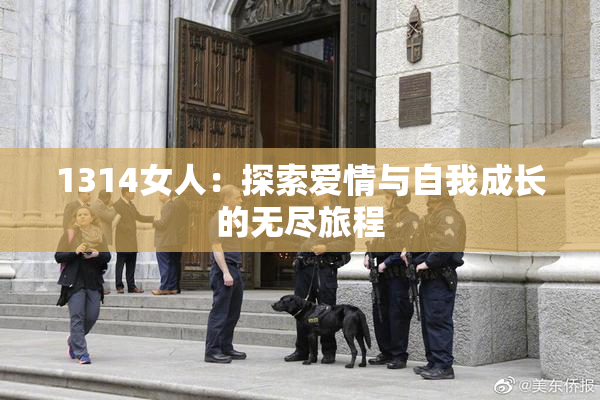 1314女人：探索爱情与自我成长的无尽旅程