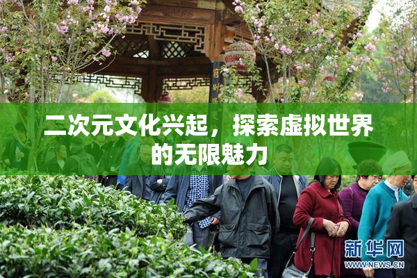 二次元文化兴起，探索虚拟世界的无限魅力