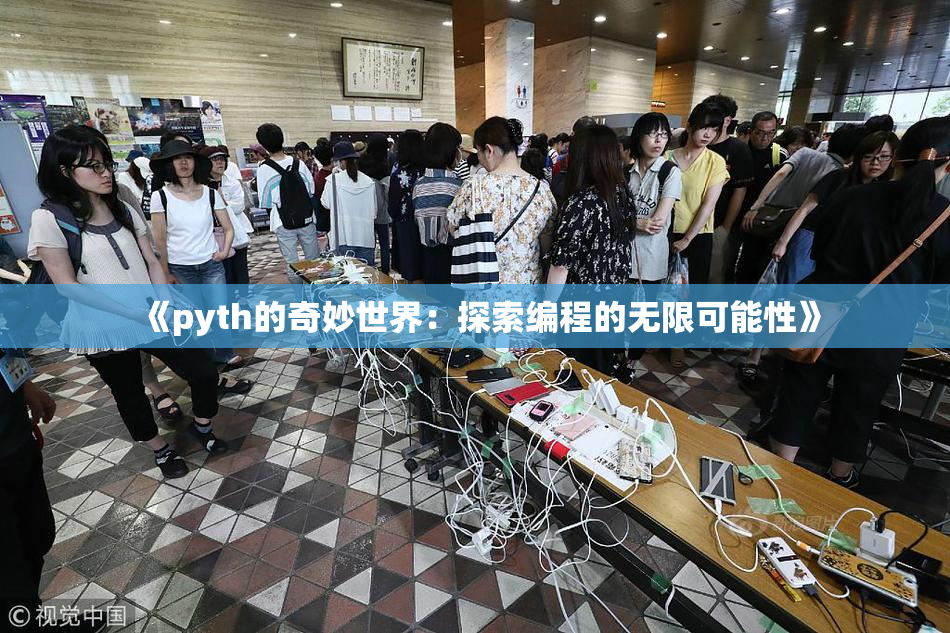 《pyth的奇妙世界：探索编程的无限可能性》