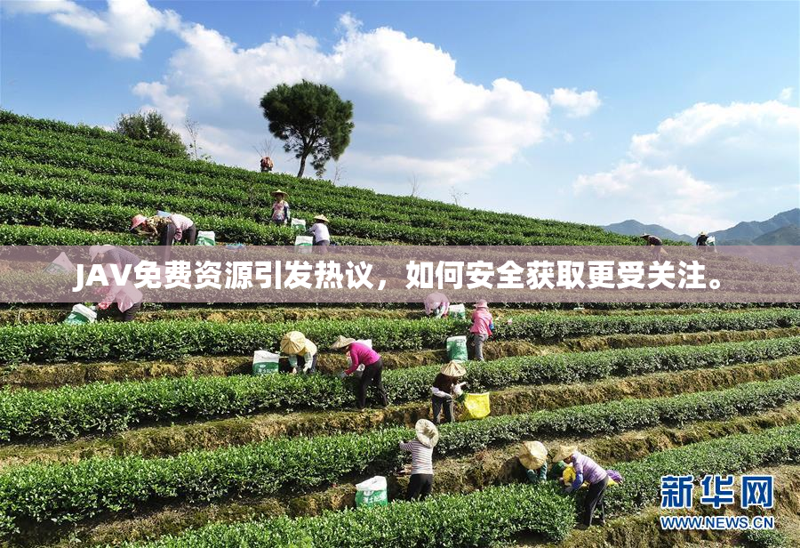 JAV免费资源引发热议，如何安全获取更受关注。