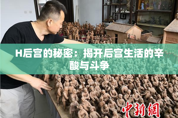 H后宫的秘密：揭开后宫生活的辛酸与斗争