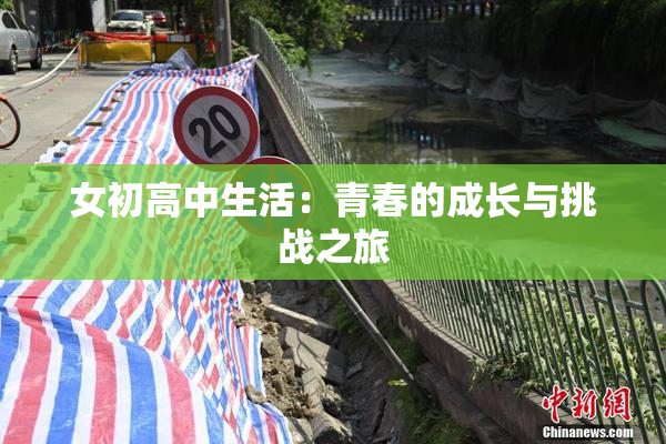 女初高中生活：青春的成长与挑战之旅