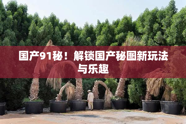 国产91秘！解锁国产秘图新玩法与乐趣