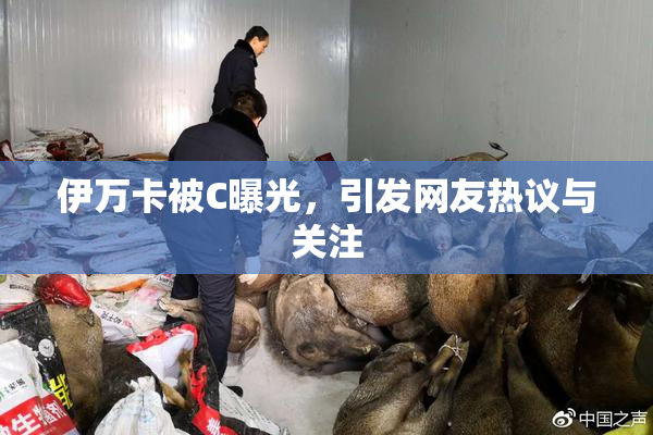 伊万卡被C曝光，引发网友热议与关注