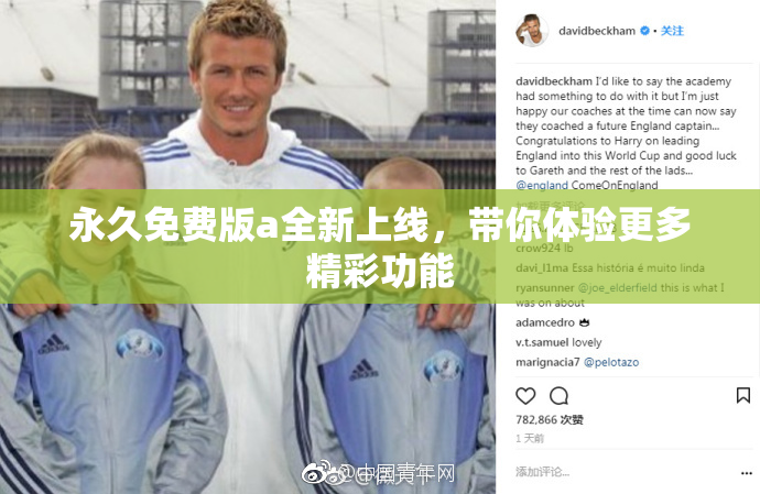永久免费版a全新上线，带你体验更多精彩功能