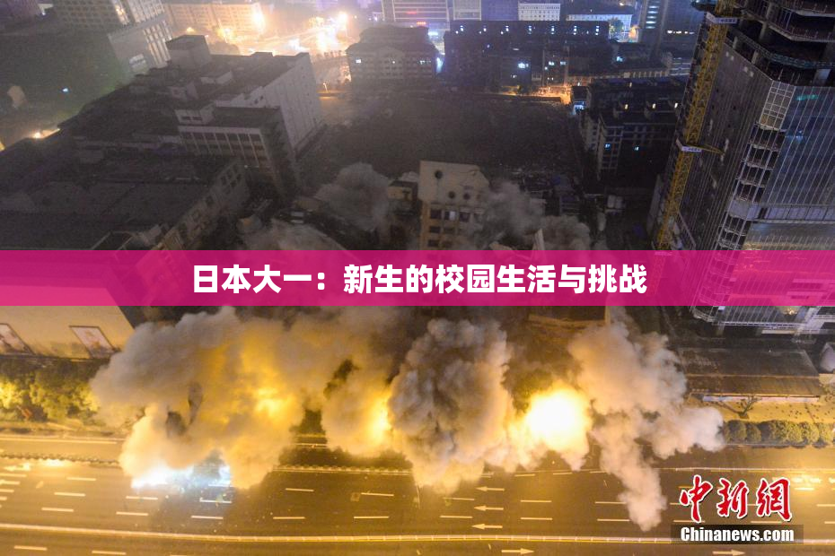 日本大一：新生的校园生活与挑战