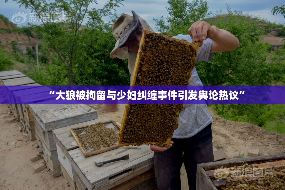“大狼被拘留与少妇纠缠事件引发舆论热议”