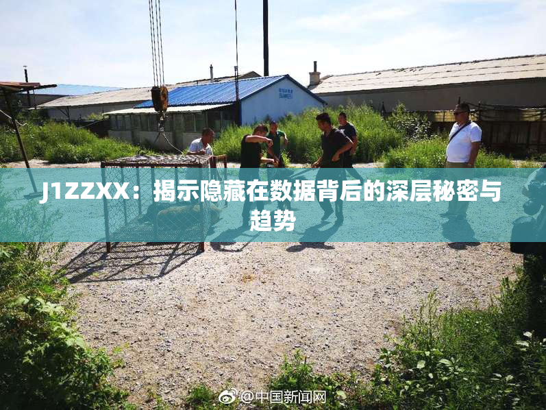 J1ZZXX：揭示隐藏在数据背后的深层秘密与趋势