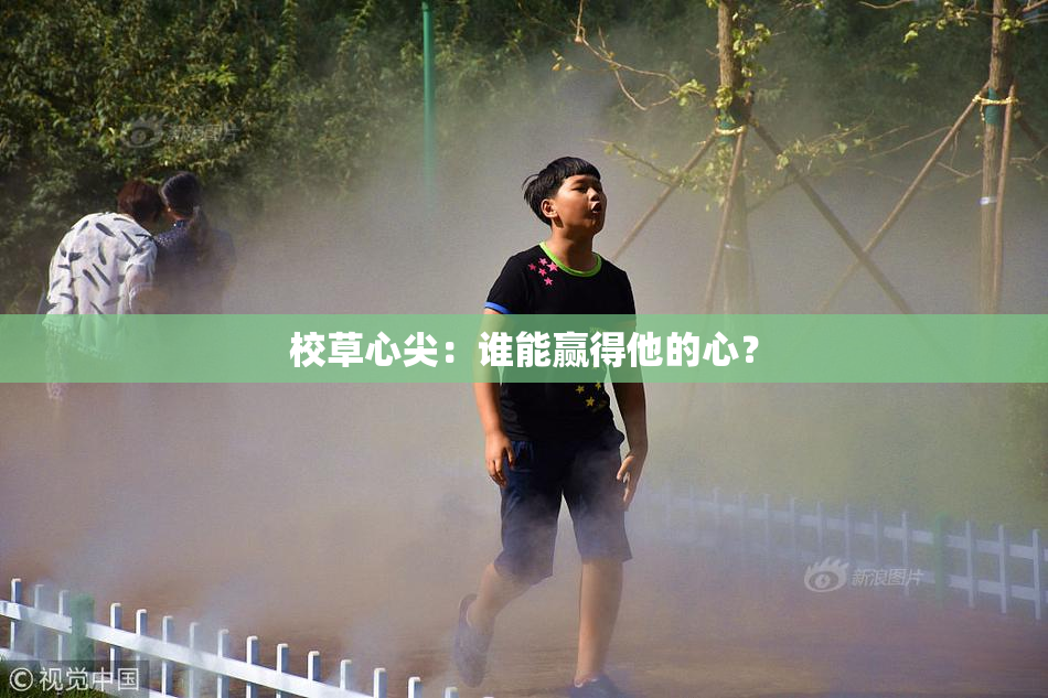 校草心尖：谁能赢得他的心？