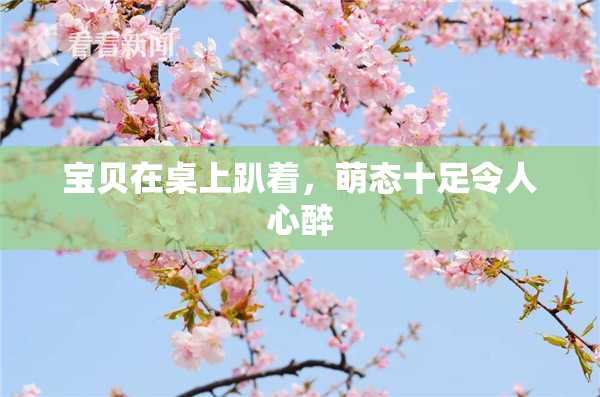宝贝在桌上趴着，萌态十足令人心醉