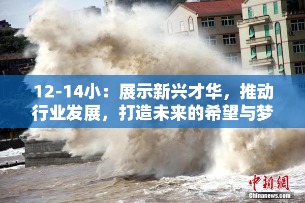12-14小：展示新兴才华，推动行业发展，打造未来的希望与梦想。