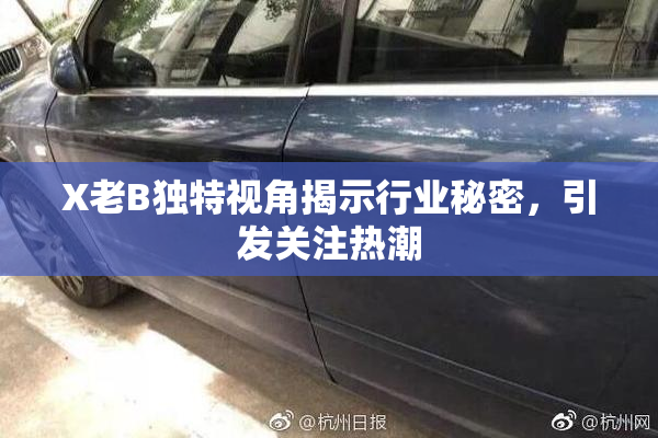 X老B独特视角揭示行业秘密，引发关注热潮