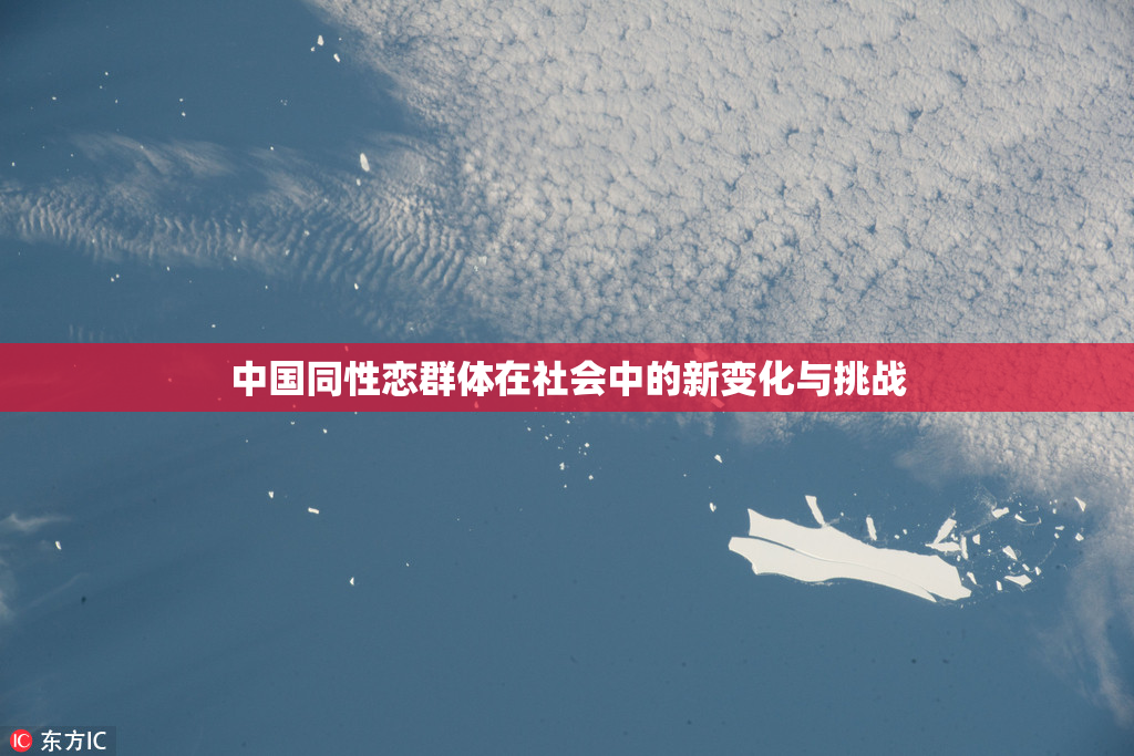 中国同性恋群体在社会中的新变化与挑战