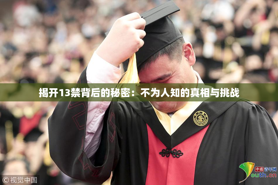 揭开13禁背后的秘密：不为人知的真相与挑战