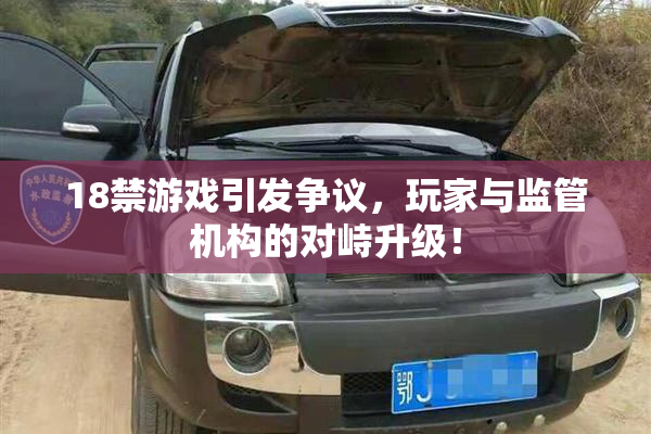 18禁游戏引发争议，玩家与监管机构的对峙升级！