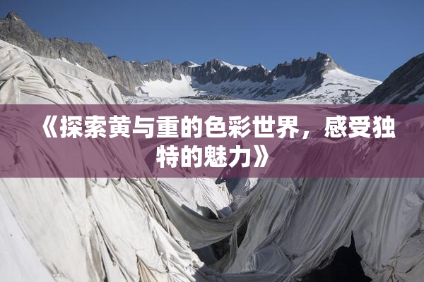 《探索黄与重的色彩世界，感受独特的魅力》