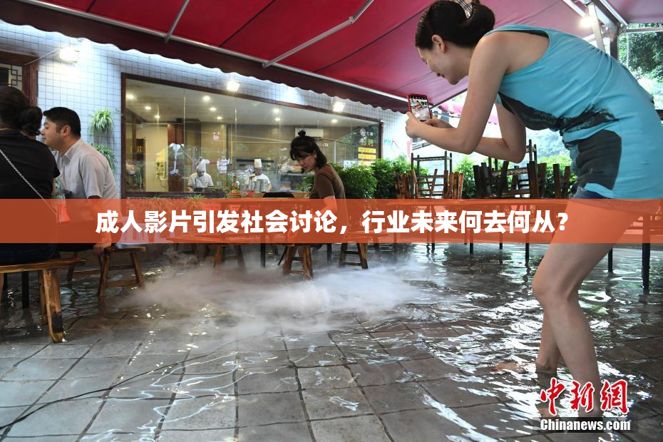 成人影片引发社会讨论，行业未来何去何从？
