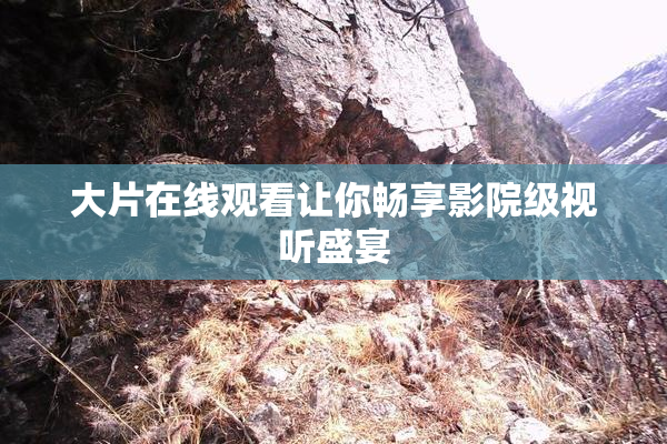 大片在线观看让你畅享影院级视听盛宴