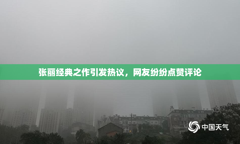张丽经典之作引发热议，网友纷纷点赞评论